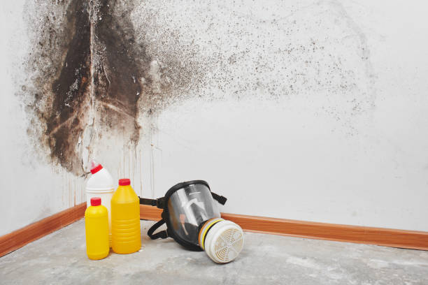 Best Mold Testing  in Pierre, SD