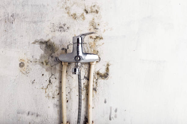 Best Office Mold Removal Services  in Pierre, SD