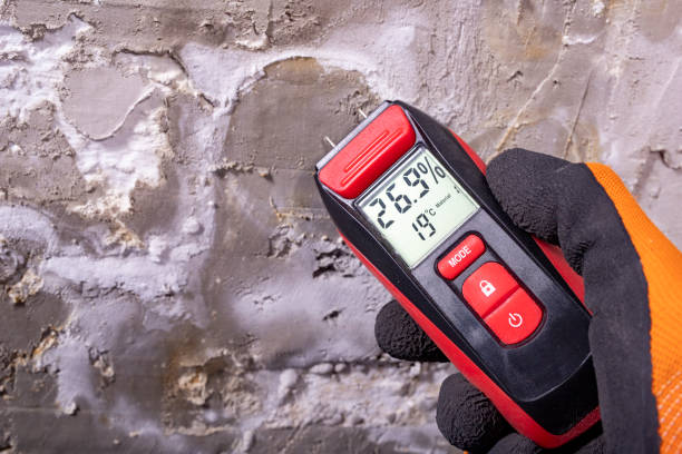 Best Mold Damage Repair  in Pierre, SD