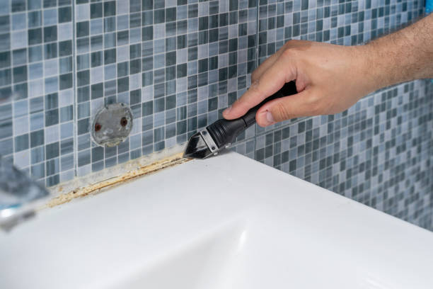 Best Mold Testing  in Pierre, SD