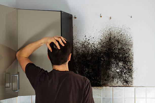 Best Residential Mold Removal  in Pierre, SD